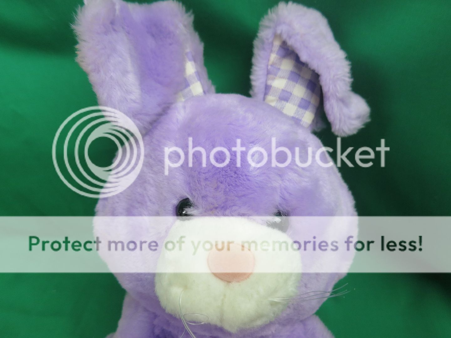 plush bunny basket